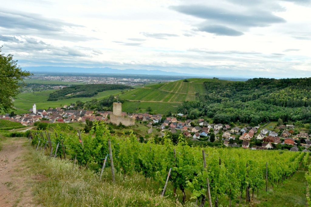 Un escape game sur la bière
