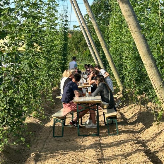 Repas du 13 juillet 2023