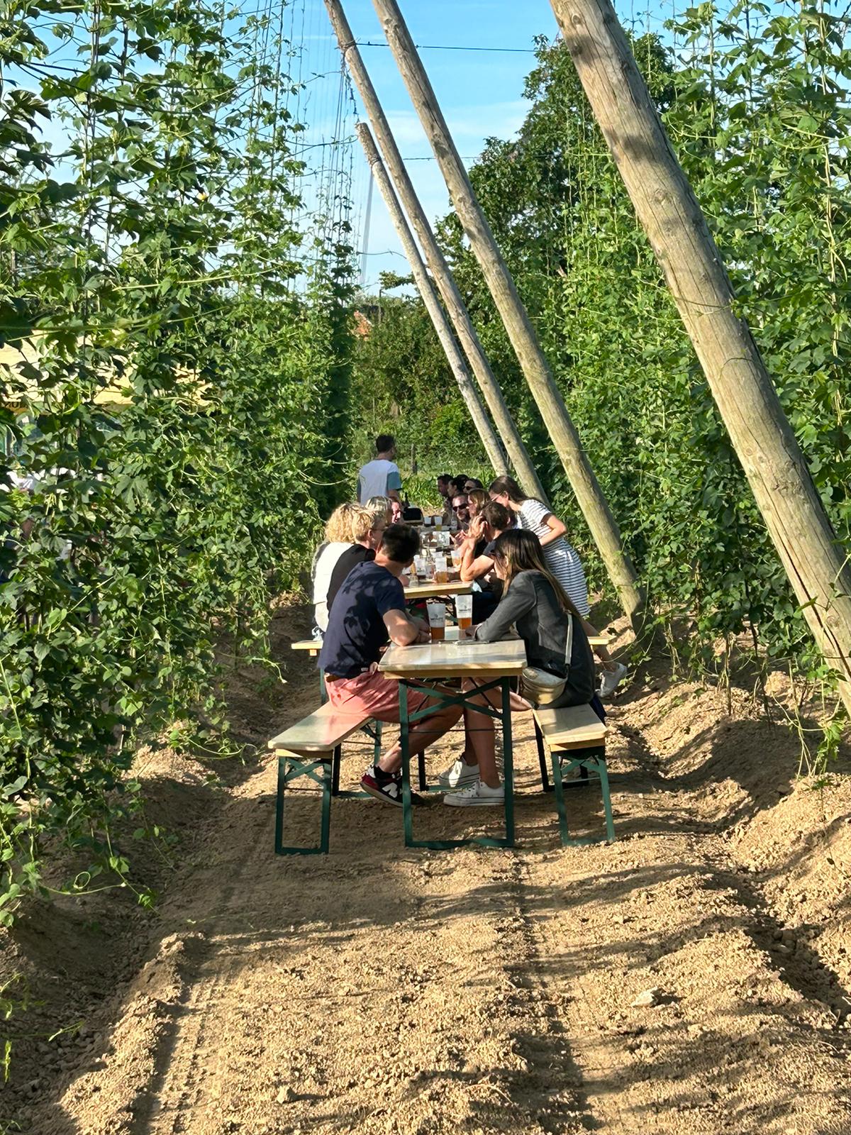 Repas du 13 juillet 2023
